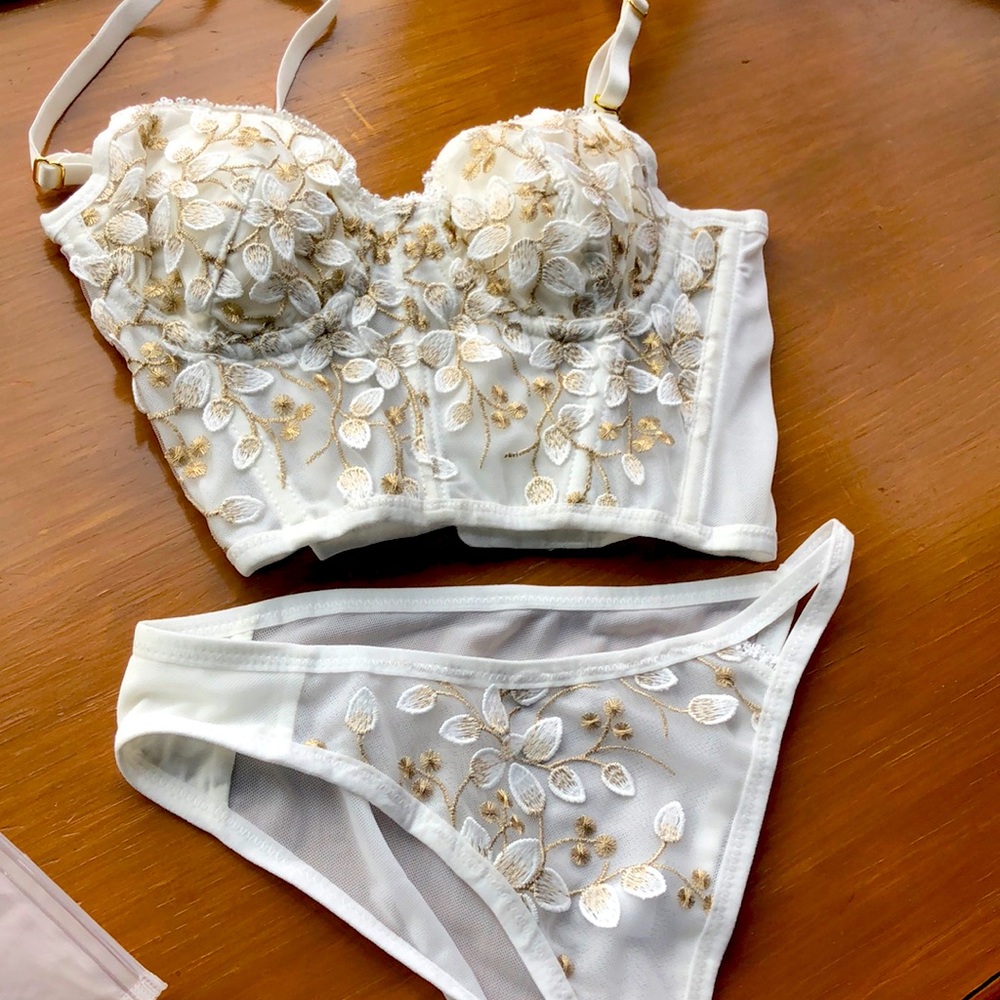 Gorgeous, New, gold and cream embroidered corset bra and panties
